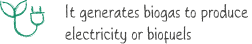 It generates biogas to produce electricity or biofuels