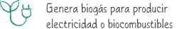 It generates biogas to produce electricity or biofuels